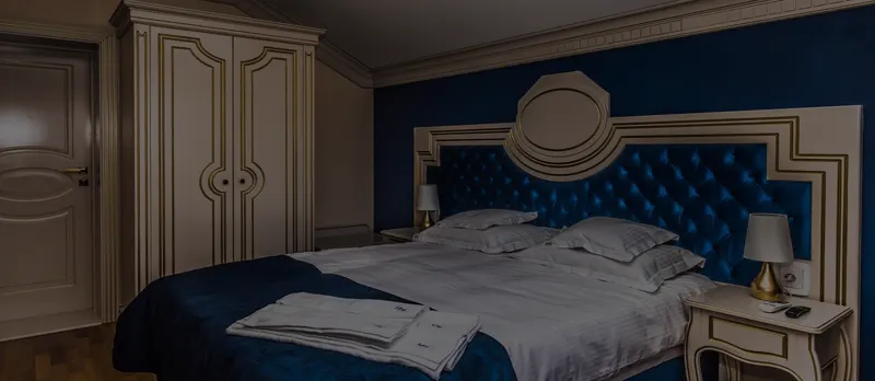Camera Viena - vedere principală